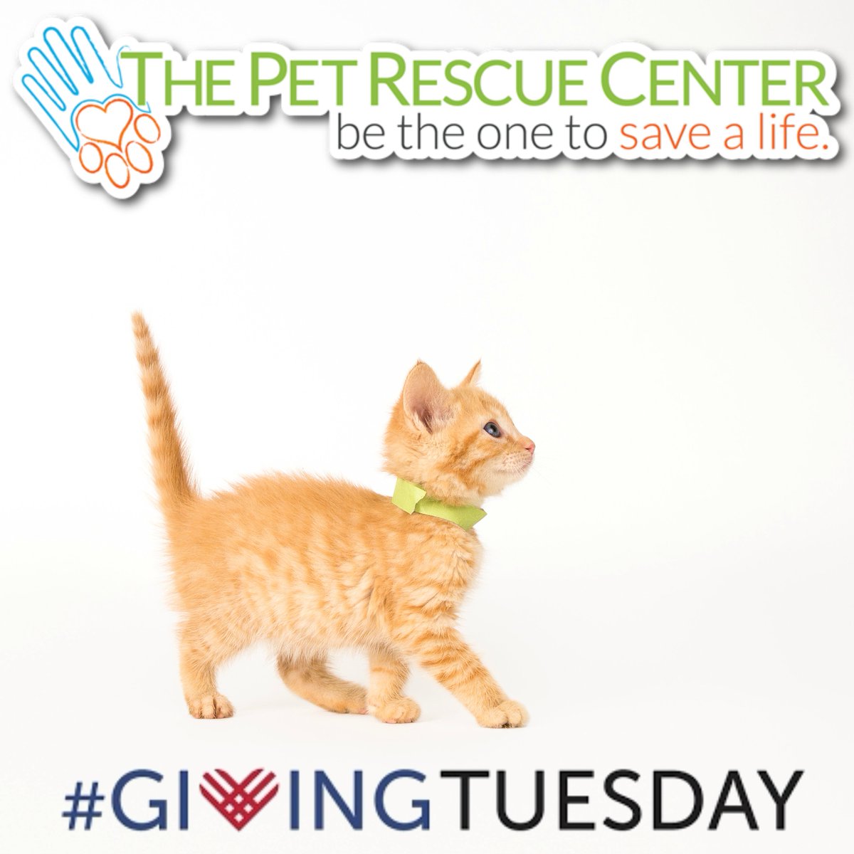 #givingtuesday/ It's Cyber Monday, so while you're doing your online shopping, check out our newly designed website: thepetrescuecenter.org