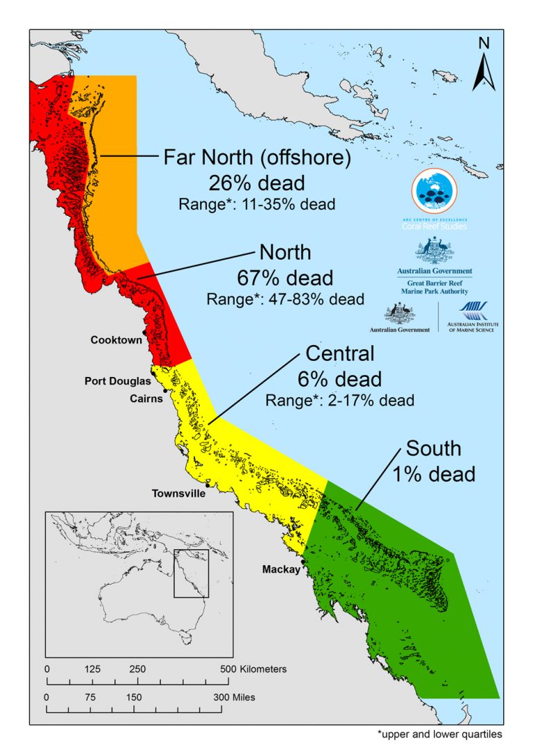 tveitdal's tweet photo. Scientists have confirmed the largest die-off of corals ever recorded on Australia’s Great Barrier Reef. https://t.co/qi4VvJ3zFP https://t.co/9TwslRJ6SB
