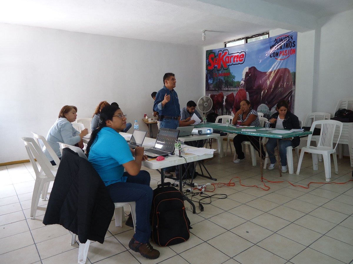 CEIR_UACh's tweet photo. Sesión del #GEIT_EXT Pecuario "Elemento 4 y revisión de avances del Elemento 2 y 3", partiicpan extensionistas  #CEIR_UACh_Morelos https://t.co/5o6UUWGOad