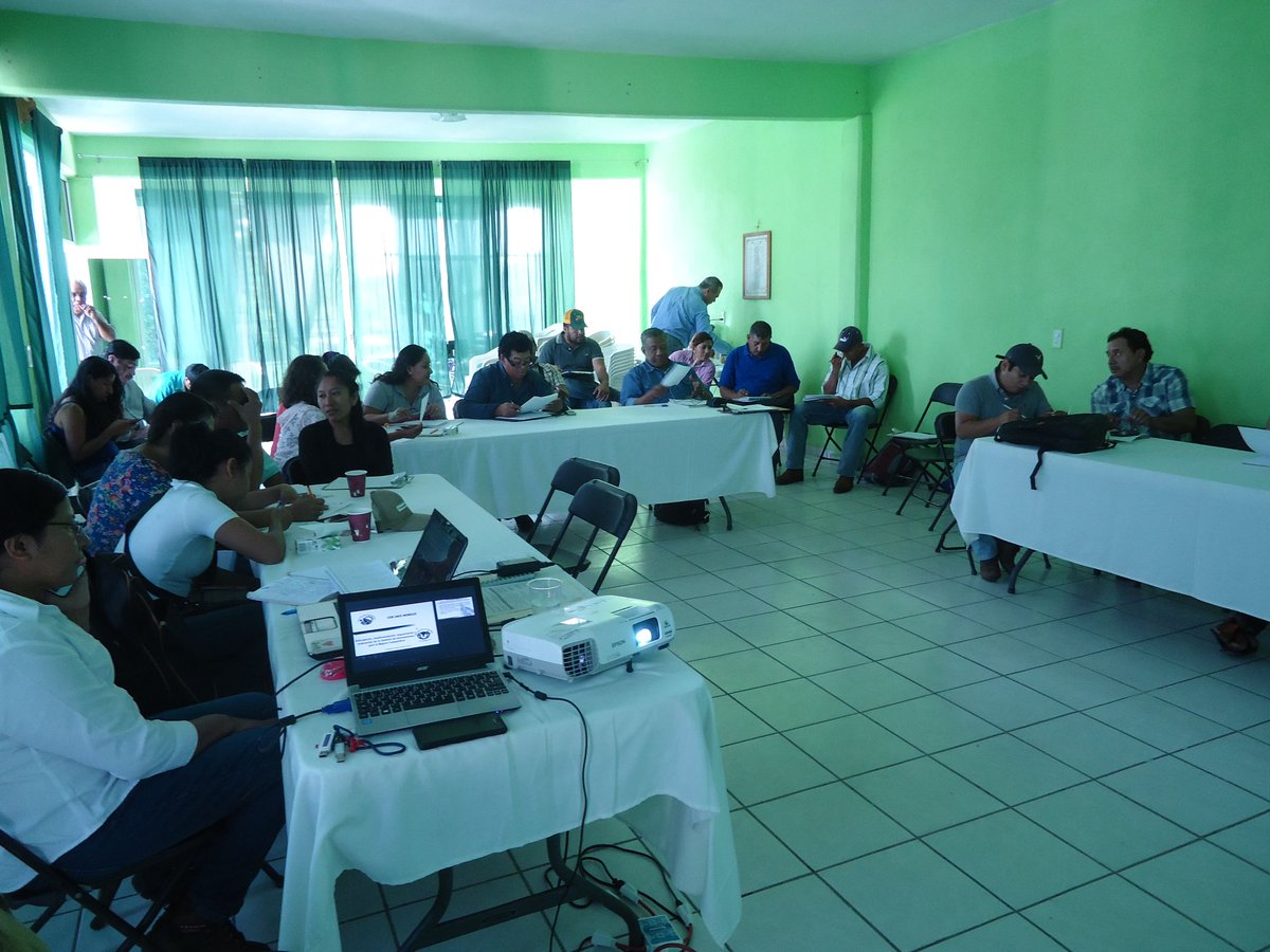 CEIR_UACh's tweet photo. Sesión de #GEIT_EXT Sorgo "Elemento 4 y revisión de avances del Elemento 2 y 3", participan extensionistas #CEIR_UACh_Morelos https://t.co/uEsxjpeEQf