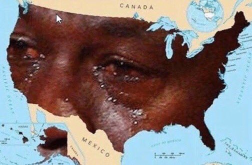 strakerforpres's tweet photo. @HarperDixon16 *meanwhile in America* https://t.co/AFD0m7hCkF