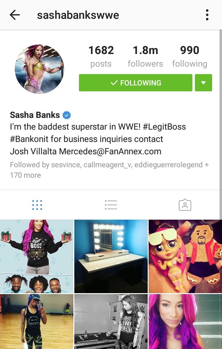 punkbynaturee's tweet photo. Bless up, @SashaBanksWWE is back on IG and she brought a friend ✅ #vertified https://t.co/YS080D4sCJ