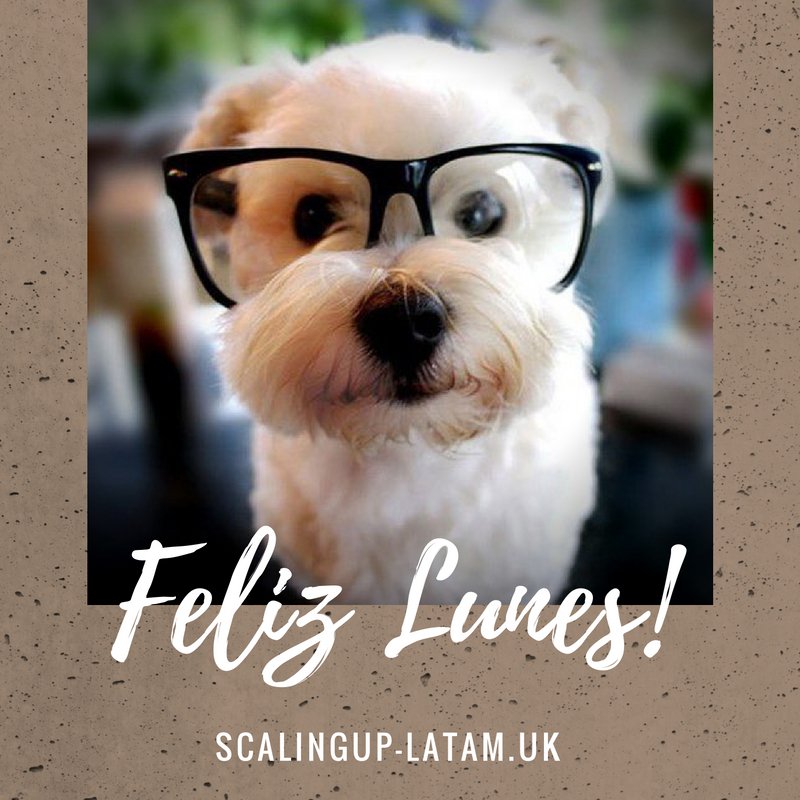 innovarefoods's tweet photo. Checa todos los #Webinars que tenemos para ti en #ScalingUpLatAm https://t.co/M49RE09vDn #Go2Learn #StartUps #Escalamiento #Go2CoWorking https://t.co/ZOzrpBmmfB