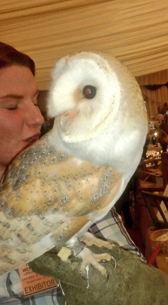 Look who we met <a href="/RivalArts/">RivalArts</a> #hexham yesterday #barnowl