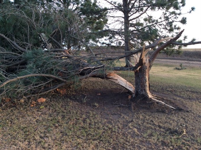 View image on Twitter