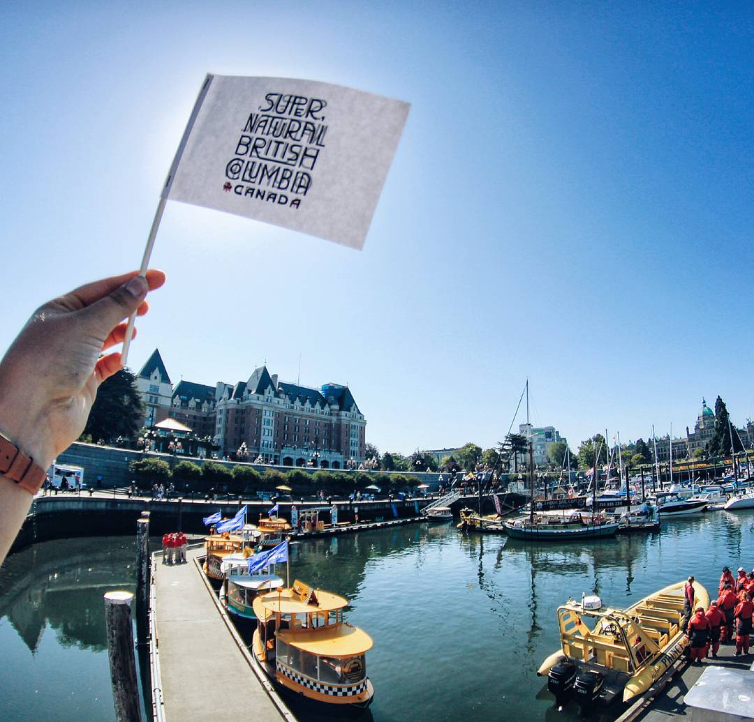 HelloBC's tweet photo. How @victoriavisitor is becoming the new hot spot for youth: https://t.co/dUEG2JEmPi via @HPCaTravel 📷 by a.spargo via IG. #exploreBC https://t.co/MYcvIb0672
