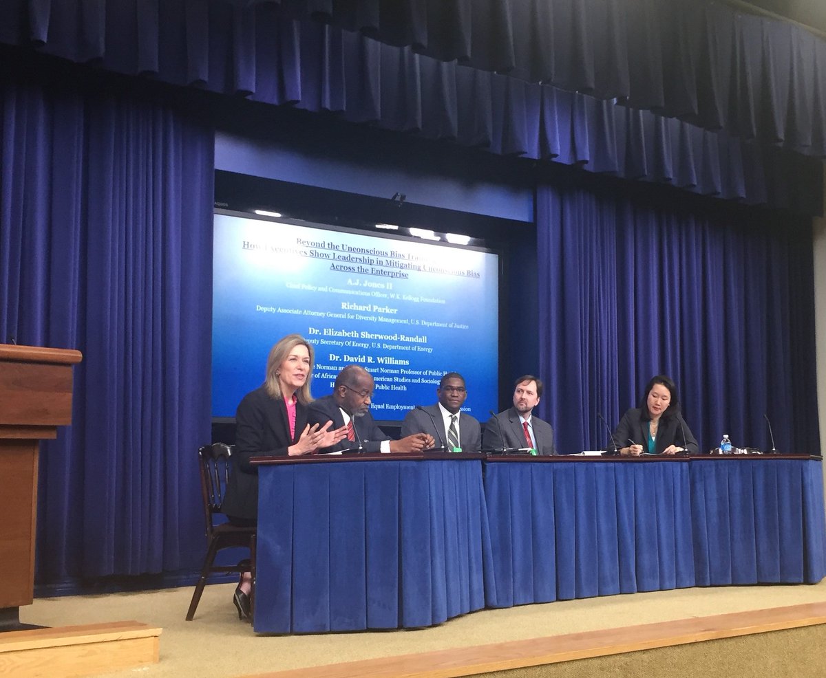 LSRTweets's tweet photo. Honored to speak @ the @WhiteHouse Summit on Diversity &amp; Inclusion in Gov't about how @ENERGY is building belonging in our workforce.#OneDOE https://t.co/kZZkVVjWMk