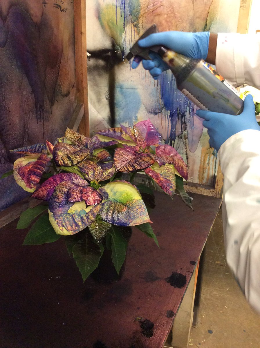 Painting poinsettia in 3Y