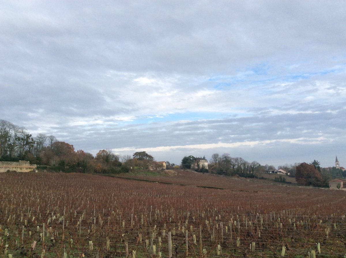 burgndyonaplate's tweet photo. Stunning day on 26th November in #Rully #cotechalonnaise #burgundywinetour #burgundyonaplate #onedaytours https://t.co/UEsQhDA137