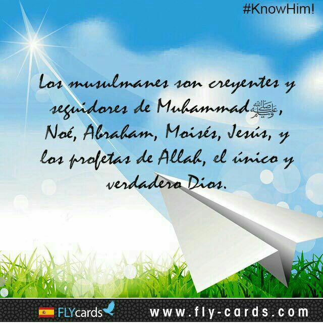 umoee2's tweet image. #FelizLunes