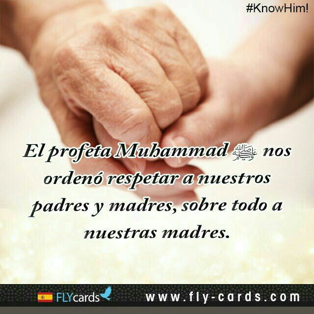 umoee2's tweet image. #FelizLunes