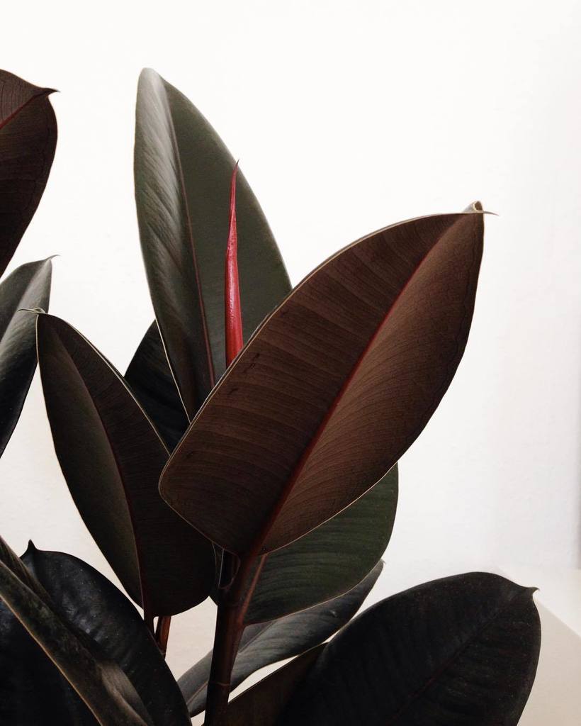 HUNDERTMARK tweet media