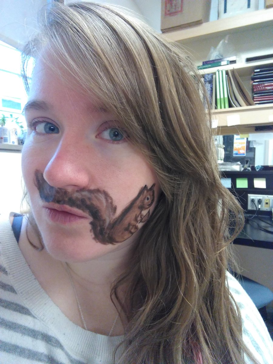 steepherson's tweet photo. A #moustache a day for men's health! #movember 28th squirrel stache! 
https://t.co/8iTTuPyhec 
https://t.co/4uzE2KgXlz https://t.co/VD4JL1jZ0w