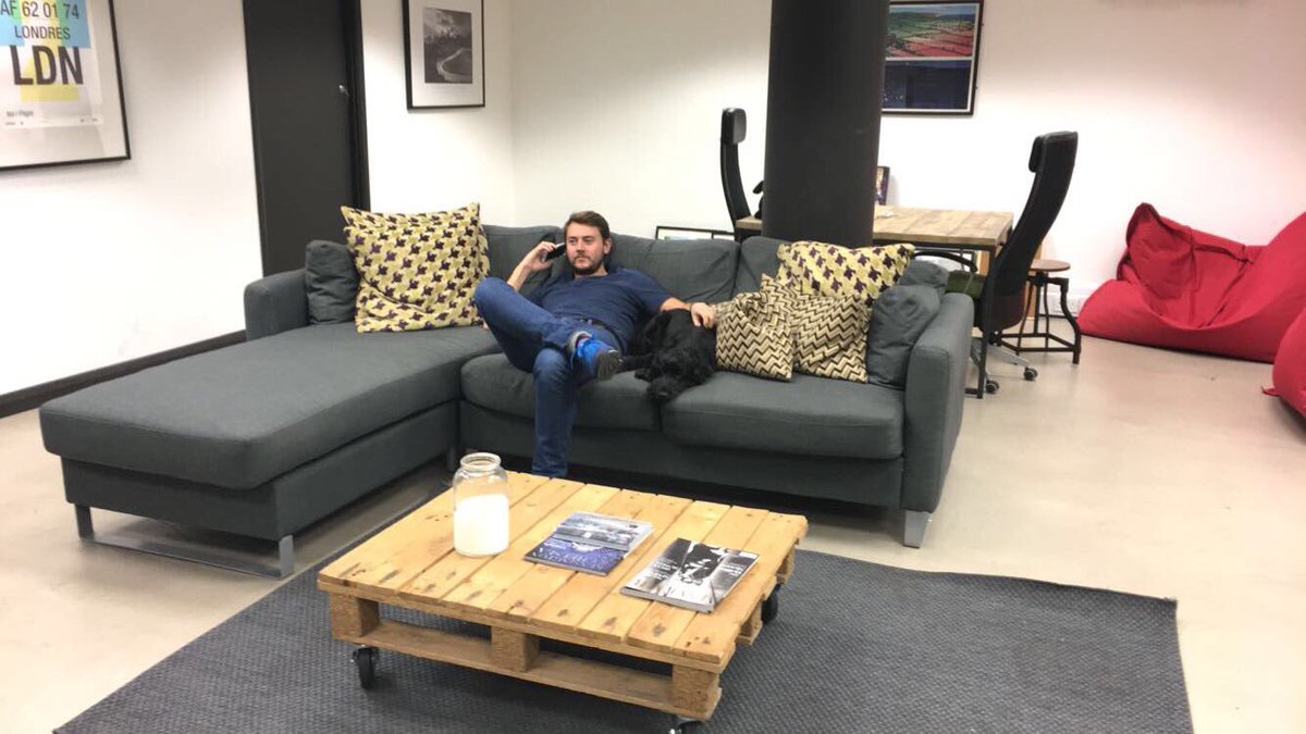 fourlabsldn's tweet photo. Working hard 🐶🛋 #MondayMotivation https://t.co/mfBvrgEe8A