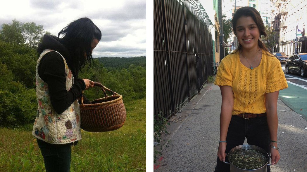 mask_mag's tweet photo. Healers Jennifer Patterson and Antonia Estela Peréz on the plants that'll help you prepare for the Trump era.

https://t.co/MamimRrHtn https://t.co/q369CYlVY4