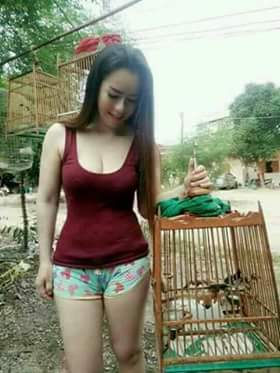 siovlet#95 tweet media