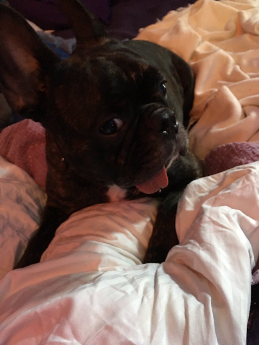 〰ℹ🕒🕒 ♓️📧 🅱️📧 🅰️✝️ ✝️♓️📧 🅱️🅾️🅾️🎋 💲ℹ⛽️♑️ℹ♑️⛽️❓📚