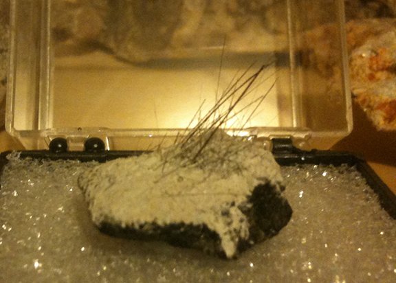 Minerals_Value's tweet photo. Hair-thin #tourmaline #crystals on tourmaline matrix with #cookite frosting from the #HimalayaMine #MineralMonday #selfcollected https://t.co/eJqWjItLCG