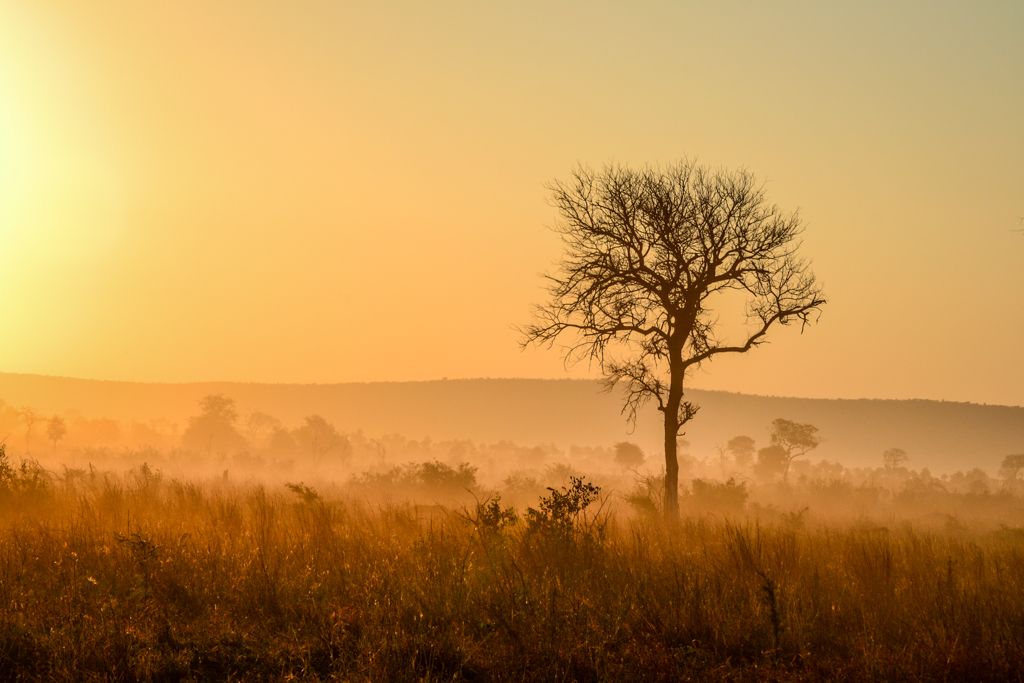 GetawayMagazine's tweet photo. From north to south, here are tips for the best Kruger campsites &amp; where to see wildlife: https://t.co/JiFWQQN0sj https://t.co/P1OCnbQAa6