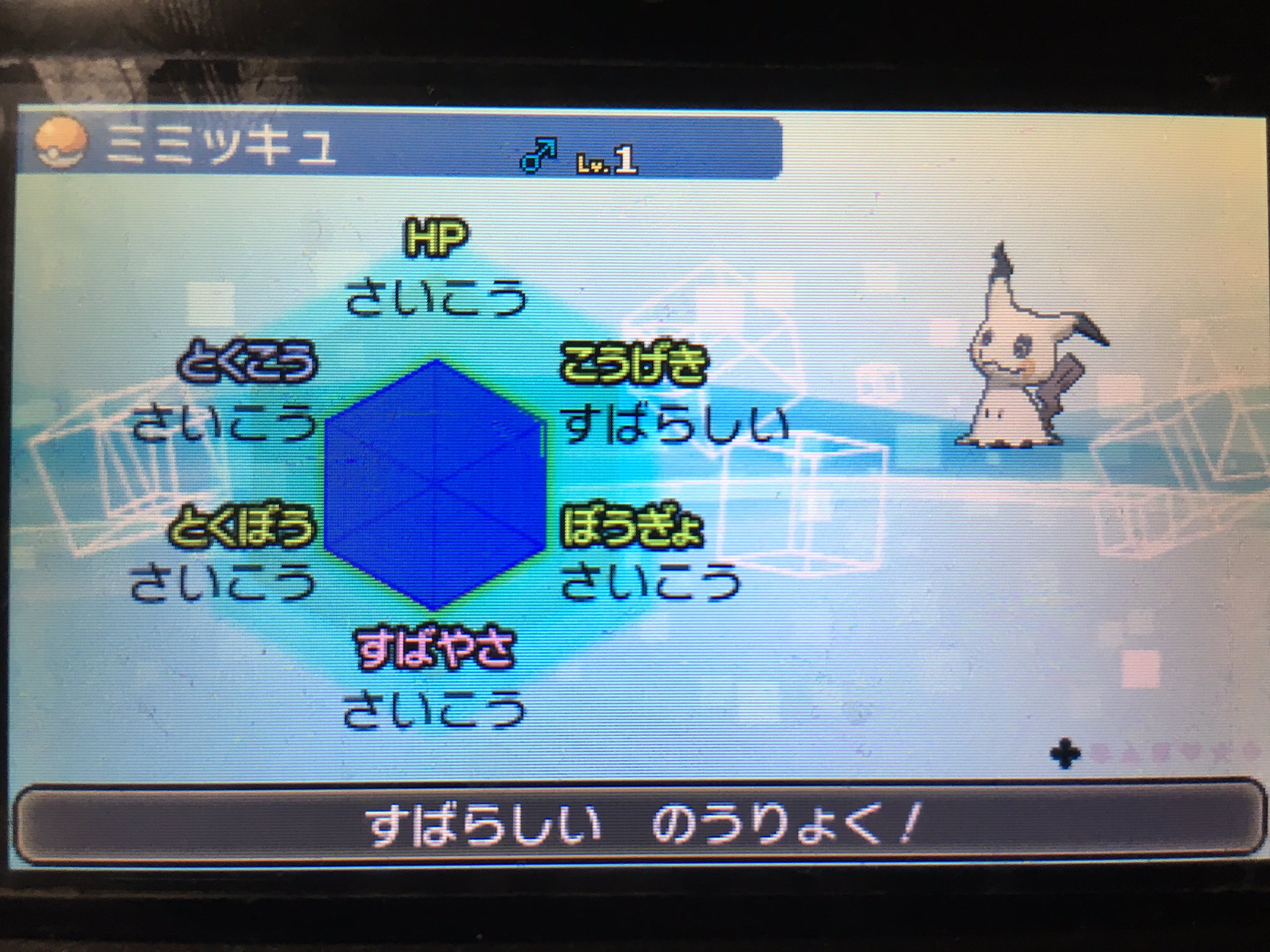 あゆと ミミッキュ厳選 本日の性格 5v 24体 5v1u2体 6v 1体 残念ながら陽気で6vは出ませんでした ポケモンサンムーン ポケモン交換 ポケモンsm ミミッキュ