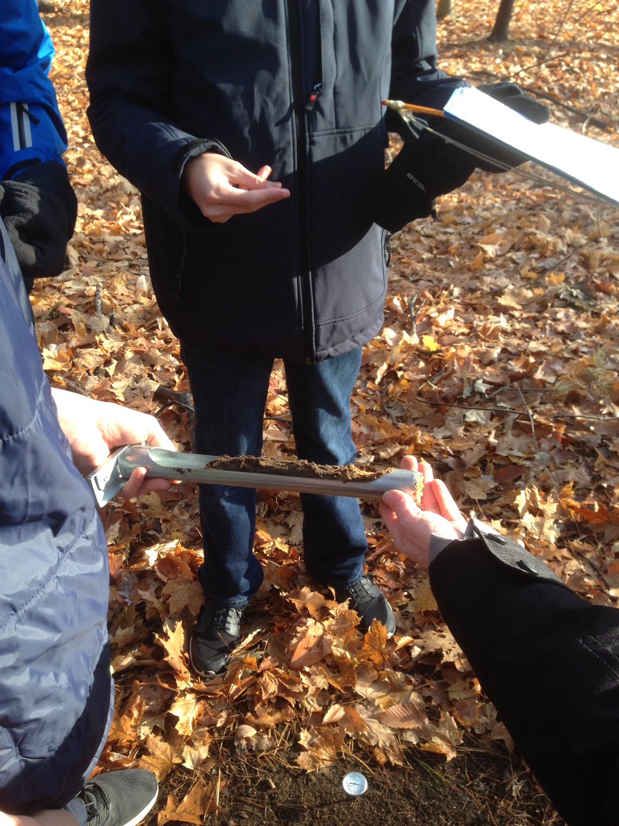 AdrianManickam's tweet photo. @YourRiverwood #ESSSCIENCE Soil tests at Riverwood Conservancy with Erindale grade 9 science students. https://t.co/IRP7Me8eI3