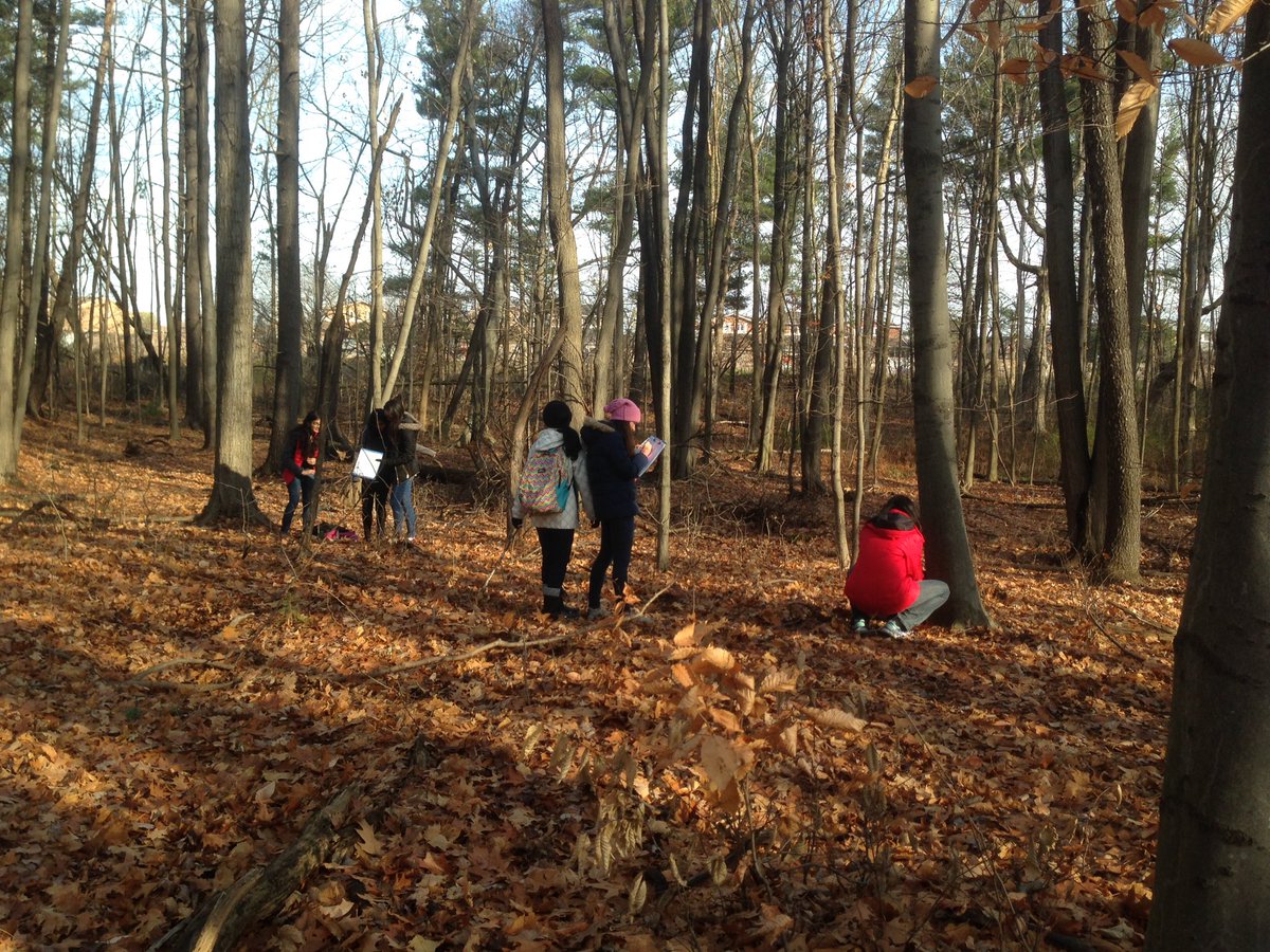AdrianManickam's tweet photo. @YourRiverwood #ESSSCIENCE Soil tests at Riverwood Conservancy with Erindale grade 9 science students. https://t.co/IRP7Me8eI3