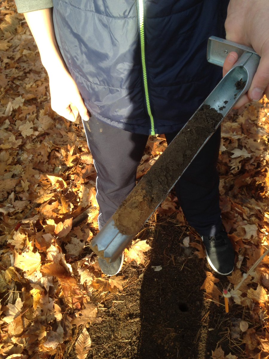 AdrianManickam's tweet photo. @YourRiverwood #ESSSCIENCE Soil tests at Riverwood Conservancy with Erindale grade 9 science students. https://t.co/IRP7Me8eI3