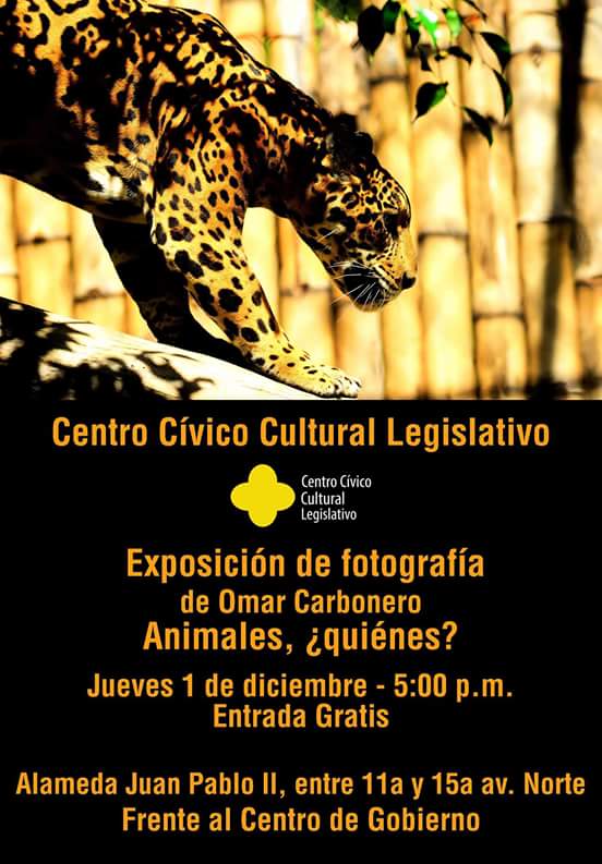 CentroCCL's tweet photo. Recuerde este Jueves a las 5:00 p.m. en @CentroCCL @AsambleaSV @PenchoyAida @lorenagpeam @embachilesv  @_JaimeSandoval @Pichisal1 https://t.co/GLs0HjKvbh
