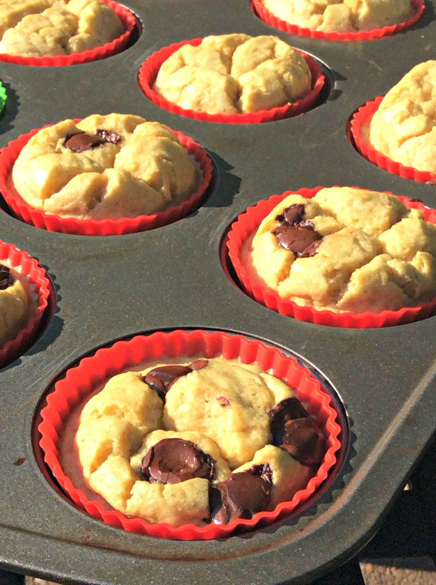 FitMomFullPlate's tweet photo. Protein Packed Blender Muffins https://t.co/5rk8Wdfen5 https://t.co/askLqdYZGA