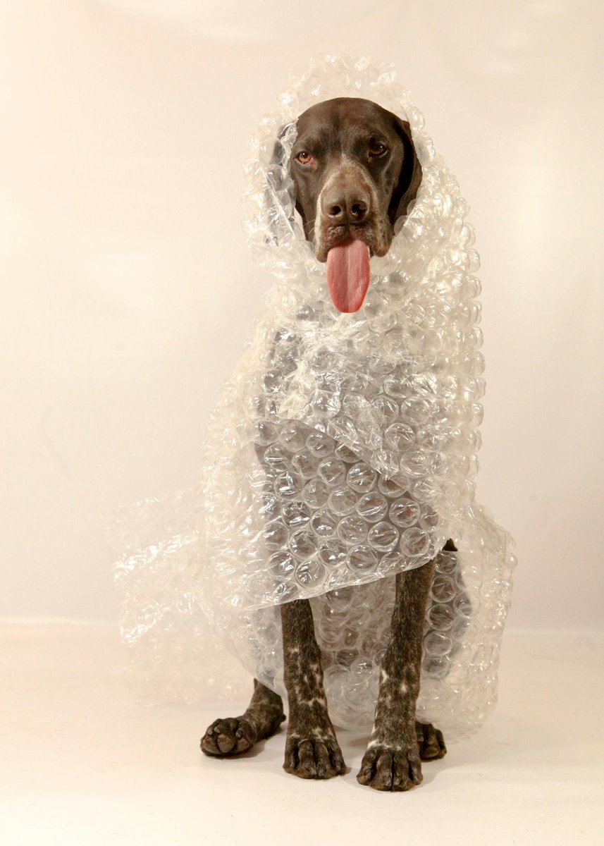 ErnestPackaging's tweet image. Sometimes Mondays call for a little extra protection. #caseofthemondays #bubblewrap