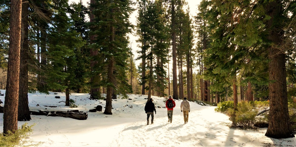 tandem_traveler's tweet photo. Winter Hikes in Tahoe #mttallac #California #Tahoe #Hike #Snow #Wilderness #LakeView #beautifulplaces #Travel #Photography #TravelBlog https://t.co/SPCDVBkhMb