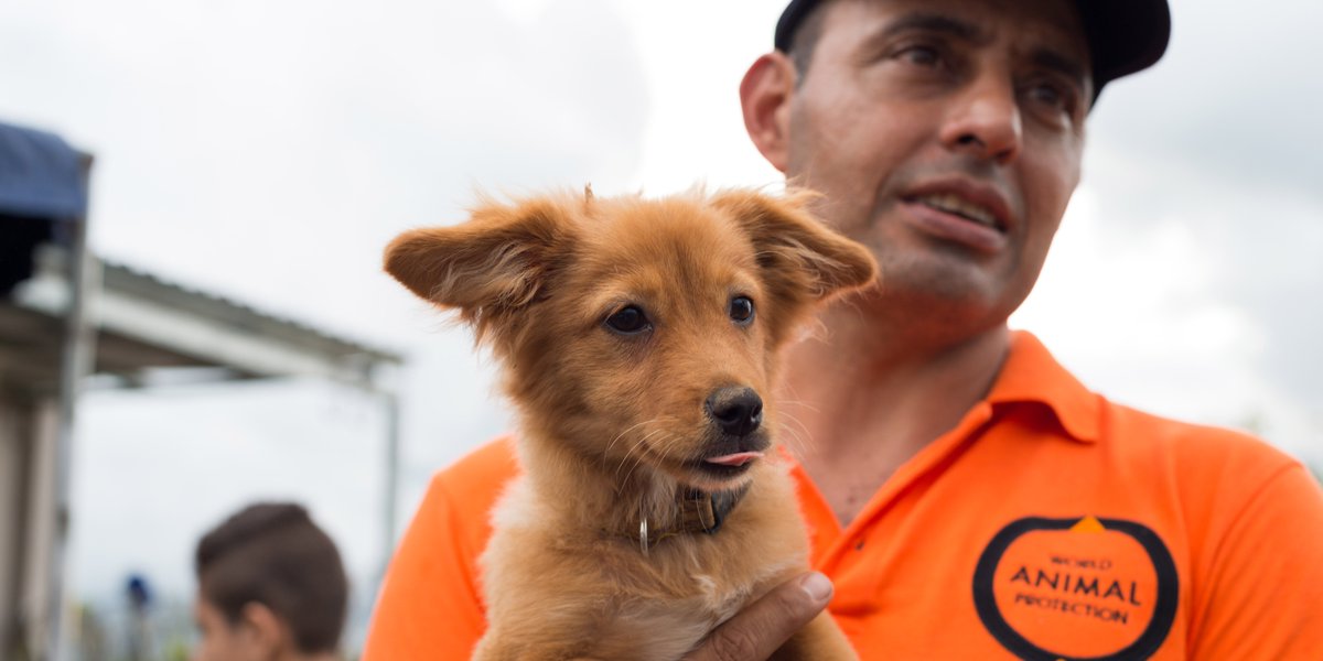 MoveTheWorld's tweet photo. We’re caring for thousands of animals in Costa Rica after #HurricaneOtto left them weak and vulnerable to disease: https://t.co/pmhMTaHo3H https://t.co/igmjchNegP