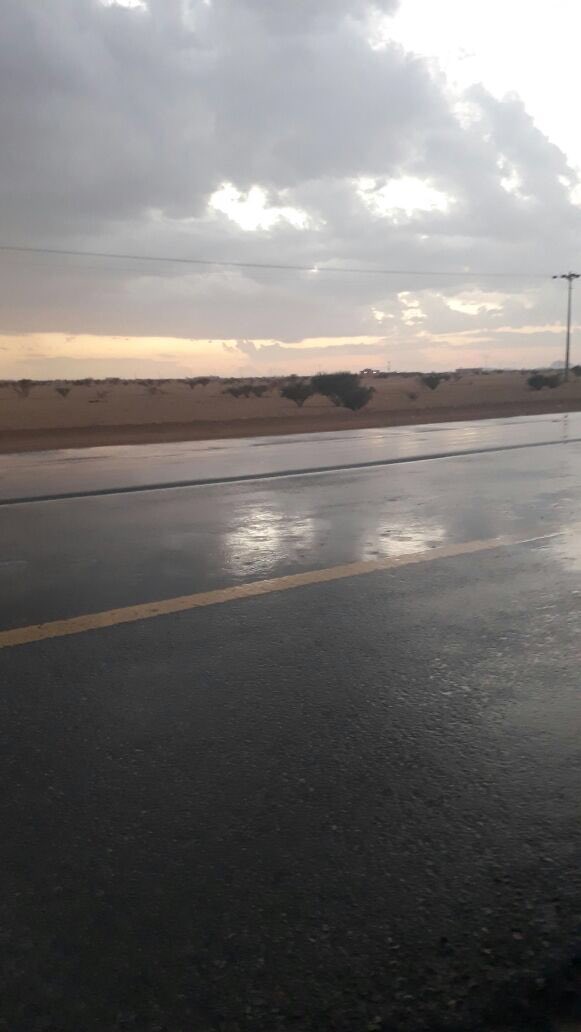 taqs_albaha tweet picture