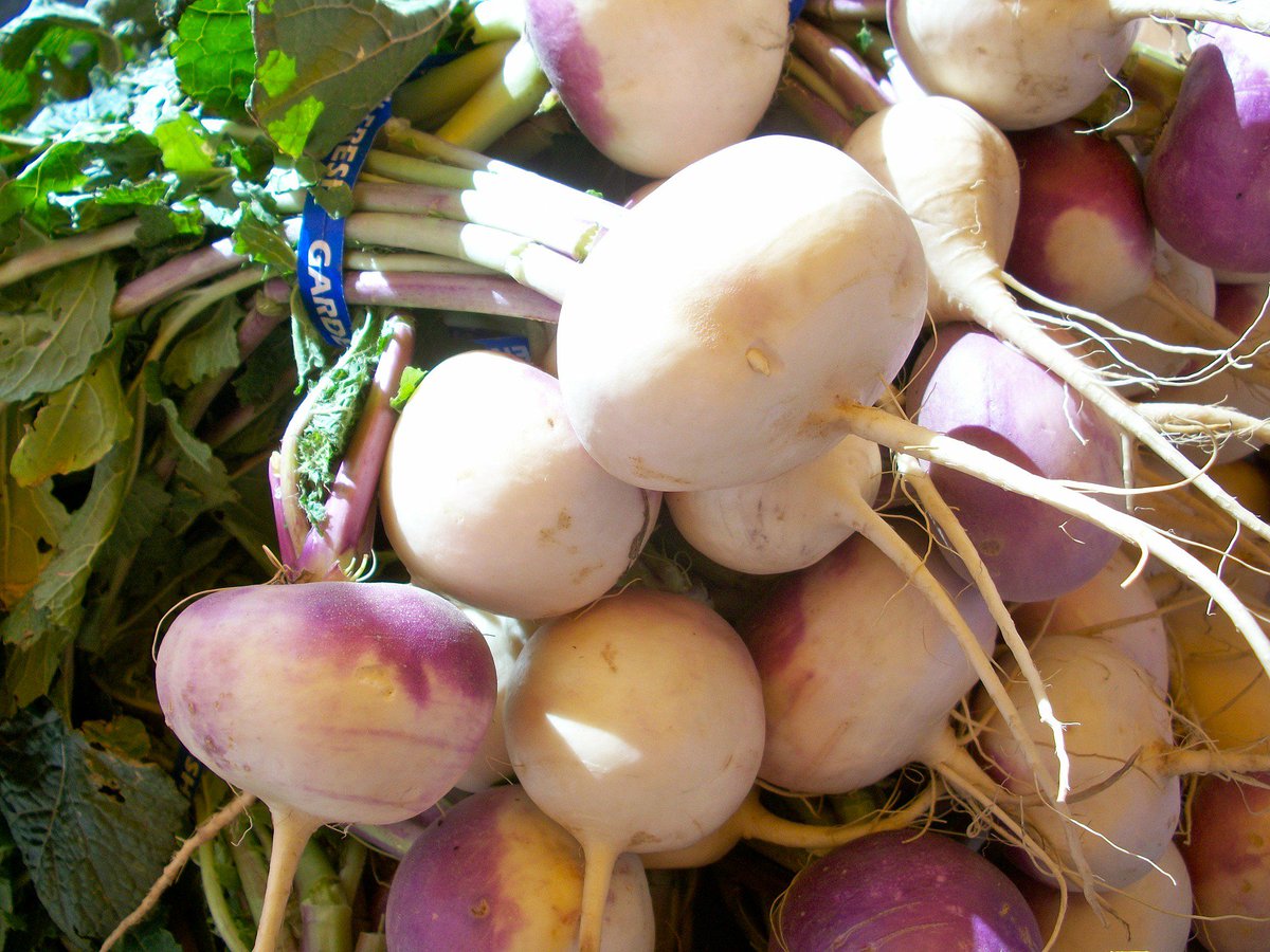Enjoy turnips, a tasty root vegetable, roasted or mashed in some of your favorite potato recipes.