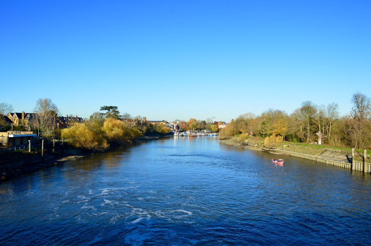 Christopher Witt (Happy Snapper) tweet media