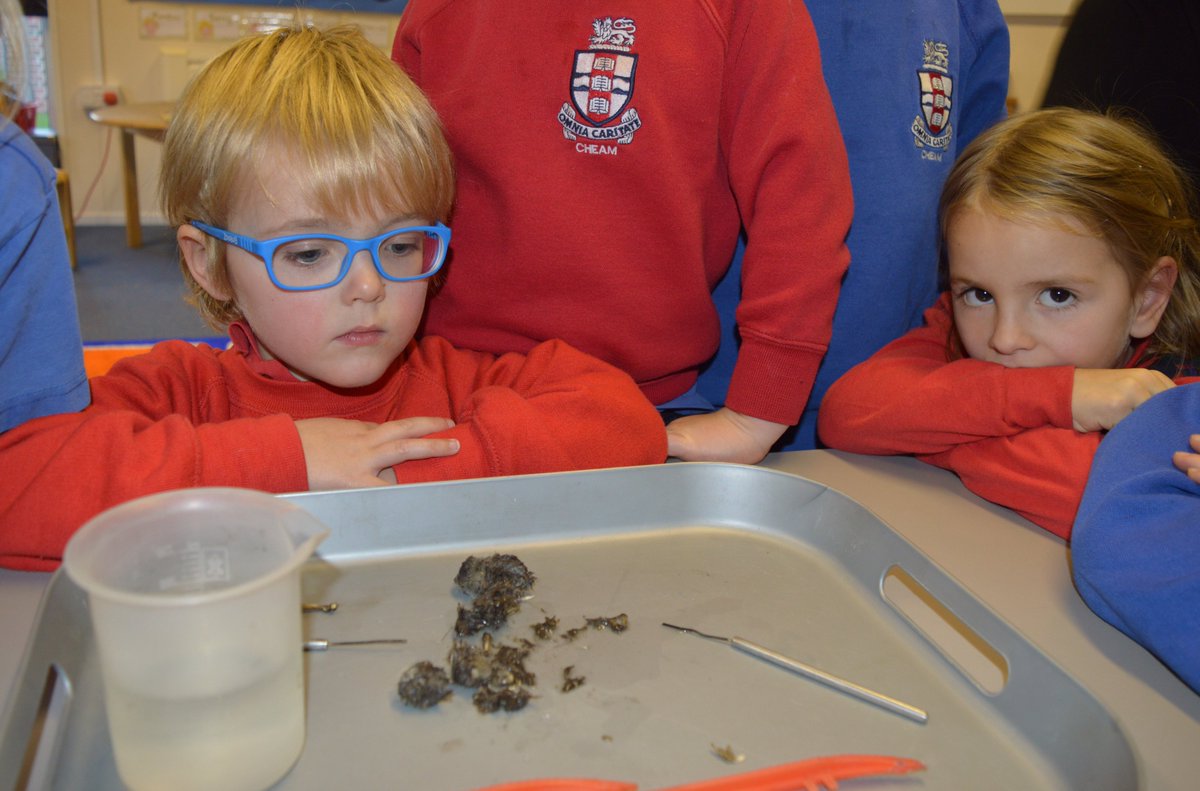 CheamPrePrep tweet picture