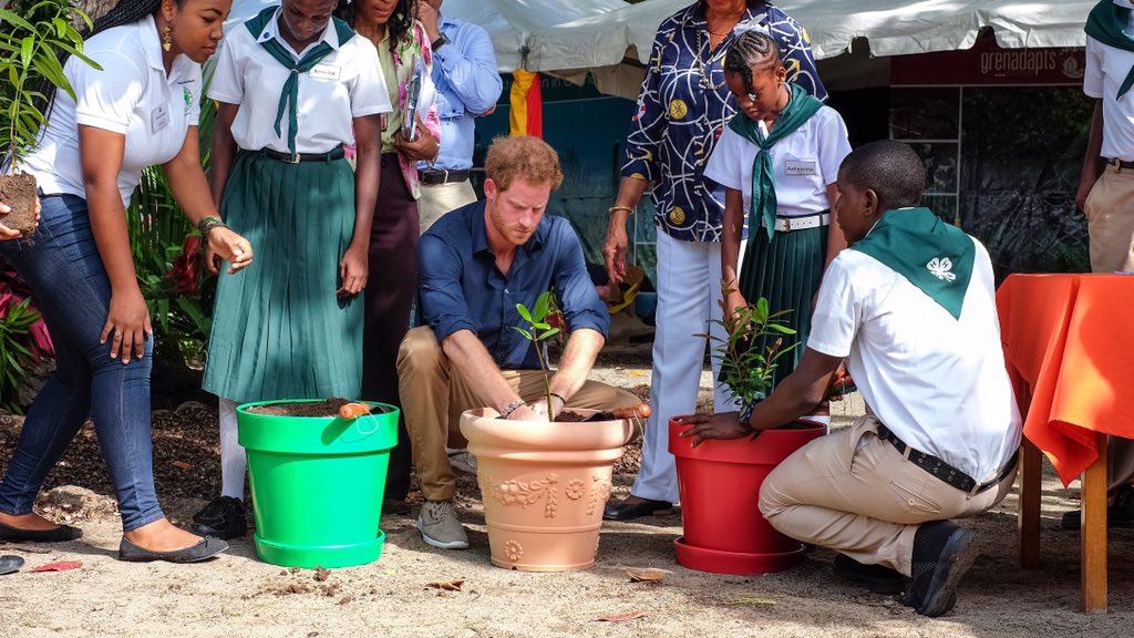 KensingtonRoyal's tweet photo. Grenada has confirmed the restored mangroves will form part of their future @QueensCanopy dedication- great news! #RoyalVisitGrenada https://t.co/5zl2eySvqh