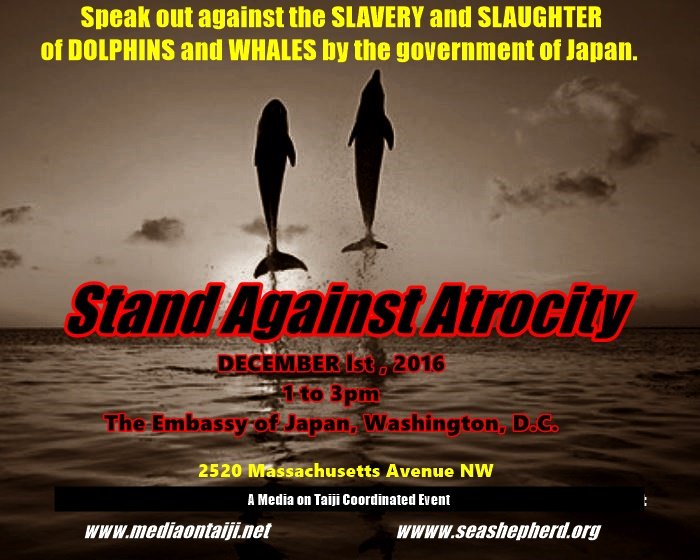 MY PM's RL event!
RT Please!
Stand up for #Dolphins &amp; #Whales in #WashingtonDC December 1st! facebook.com/events/7006382…