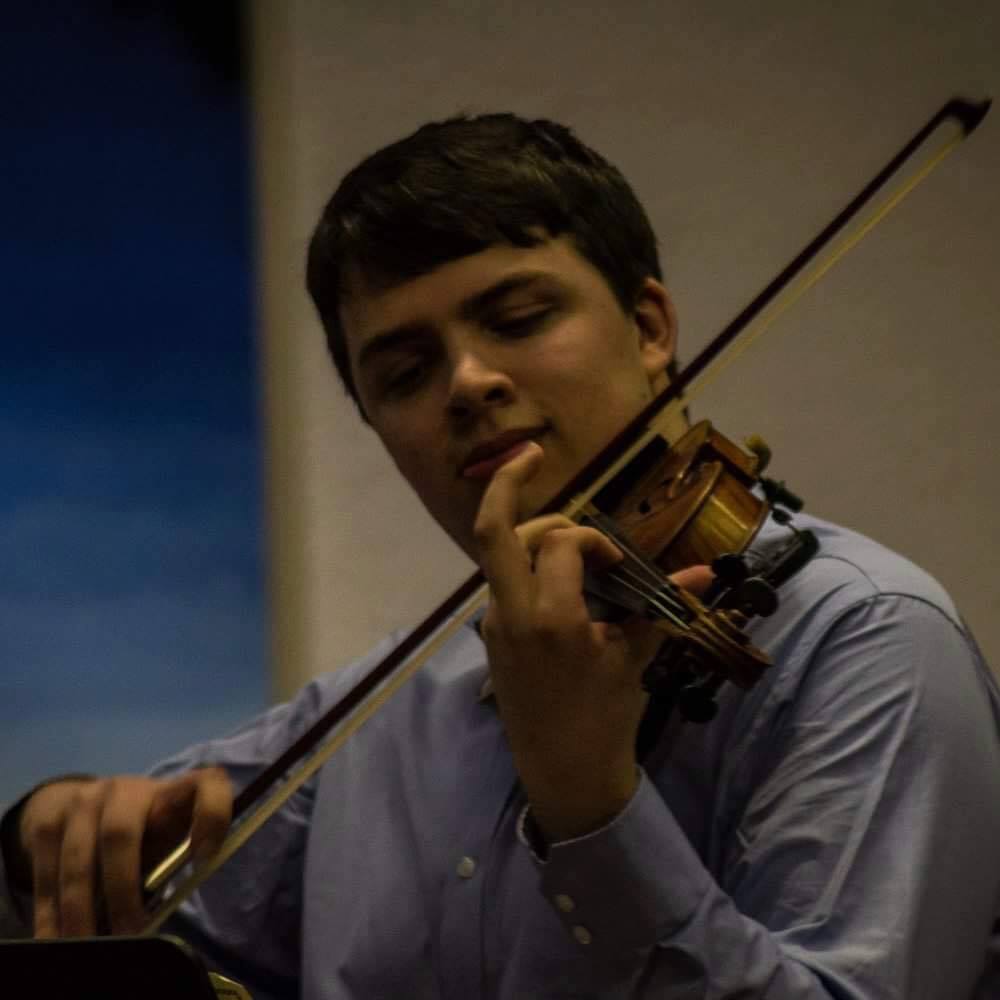 ParadeLUTG's tweet photo. VIOLIN - Harry Messenger https://t.co/wee9bHcPY9