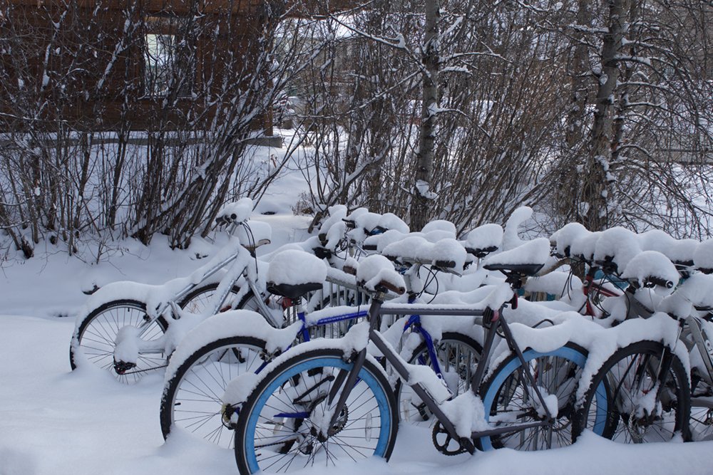Telluride's tweet photo. 8" in 24, 16" in 48, and more on the way! Here are some wintry photos of #Telluride for you to ogle as the next storm begins right now: https://t.co/Th1sYTkOXa