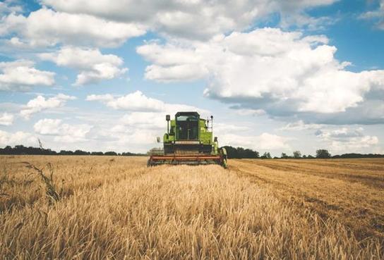 Beyond #Kimchi And #Kale: How #Millennial #Foodies Are Challenging The Supply Chain From #FarmToTable. #RealFood forbes.com/sites/eveturow…