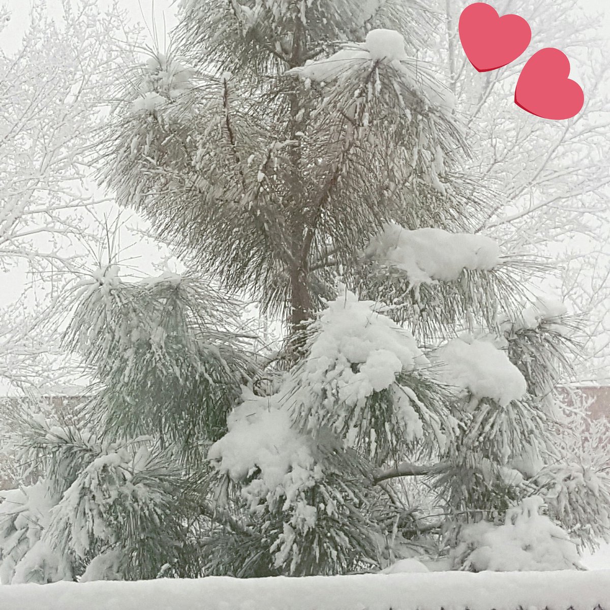 kayliPrescott's tweet photo. Utah weather!! #mylife #snow #utahweather #Utah #Snowing https://t.co/wMBLG8xdVG