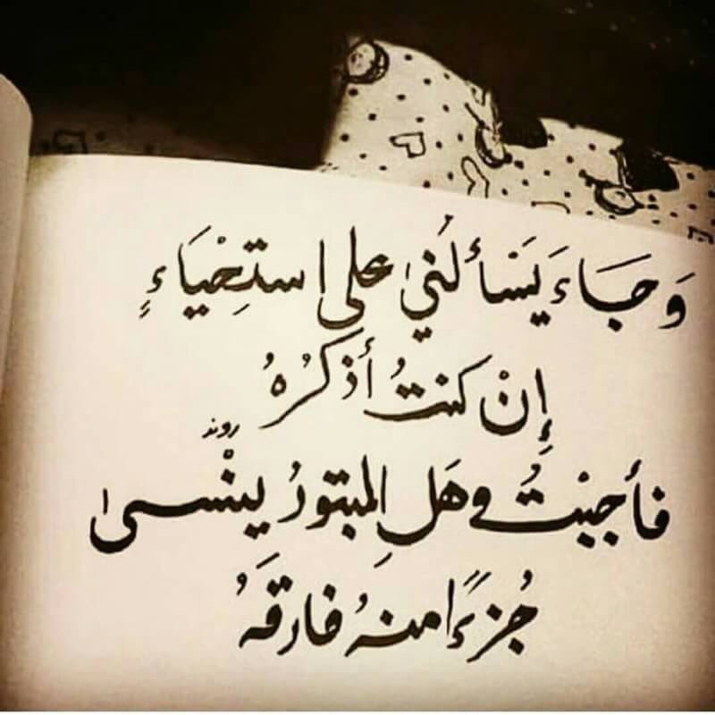 ✍🏻️
مـا نـسـيـتـگ
لـو تـحـسّ
انـي نـسـيـت !
سـيـرتـگ لـلـحـيـن
تـمـلانـي حـضـور 👌🏻

.
.

♡❥❁⸀