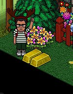 Follow + RT for a chance at 50c AND 1 month HC. Ends 15 Dec. (.COM ONLY)