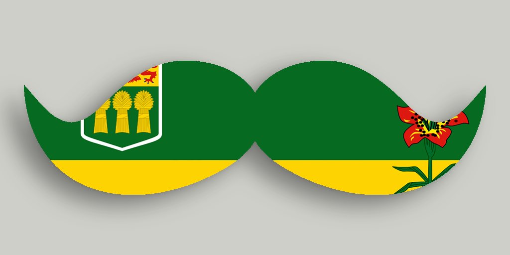 tartansmo's tweet photo. Hey @PremierBradWall, could we get a RT for spreading awareness about #Menshealth to @campbelltartans students and this sweet #Sask ‘stache? https://t.co/n4uSSnK6pQ
