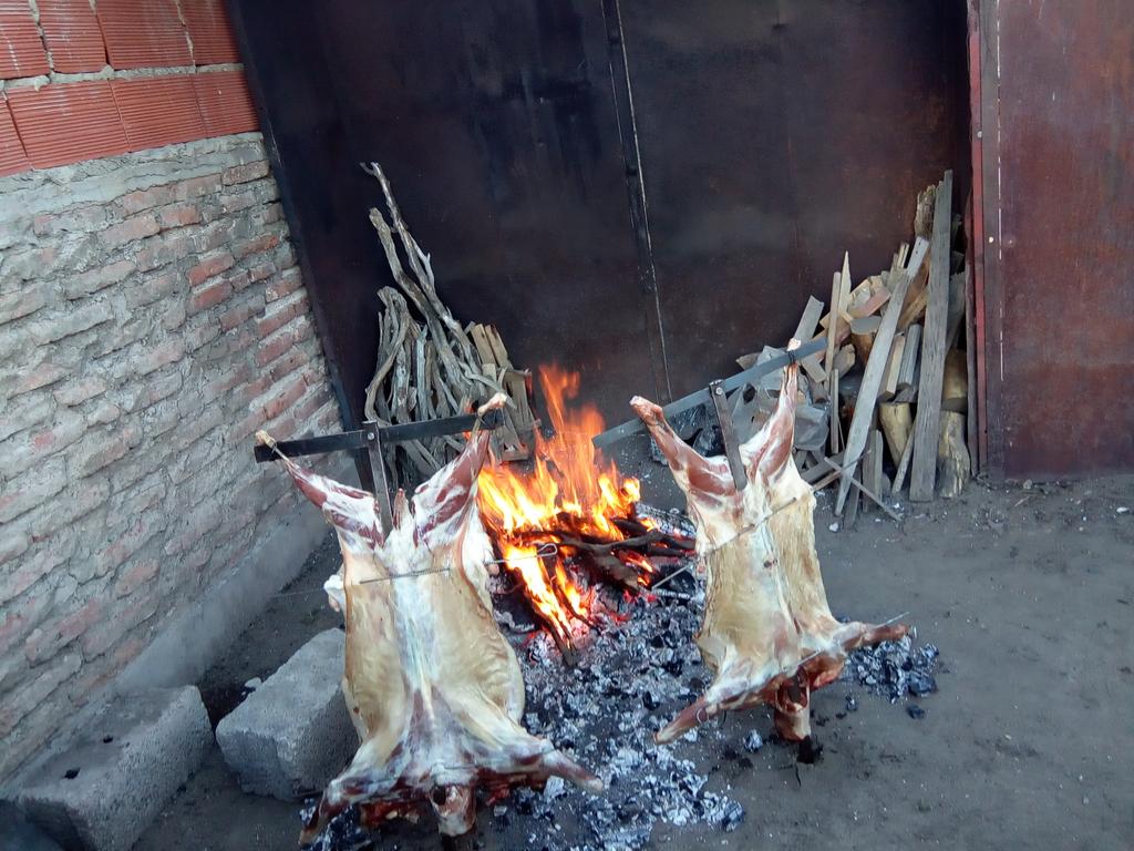 flowsaaan's tweet image. Chivito de pichileufu y de chosmalal