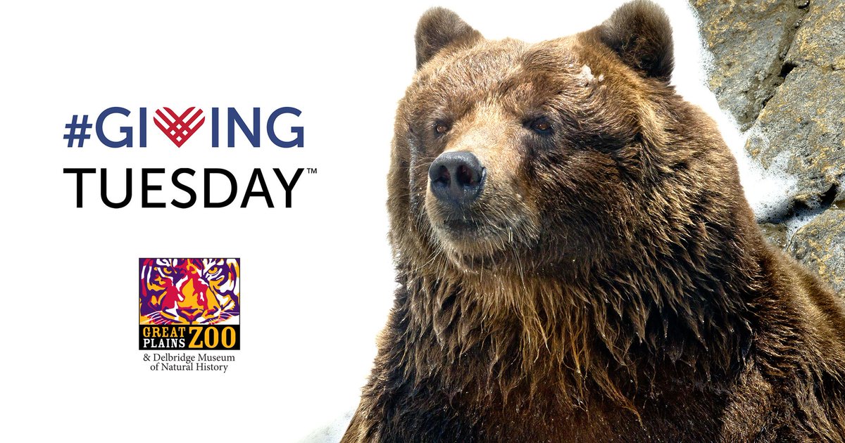 Tomorrow is #GivingTuesday! Donate to our Brown Bear exhibit, and the first $5,800 raised will be matched by donors. ow.ly/StBv306AVvg