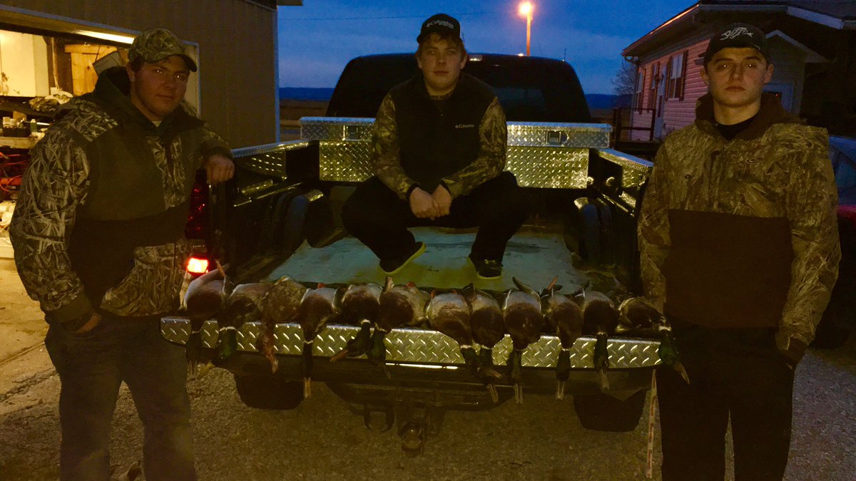 It's #mallardmonday
