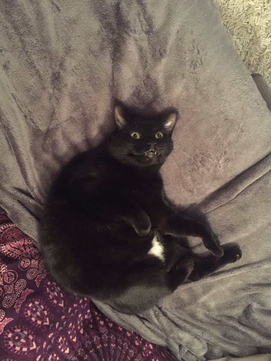 Haven't tweeted in a while so I'll just leave this here