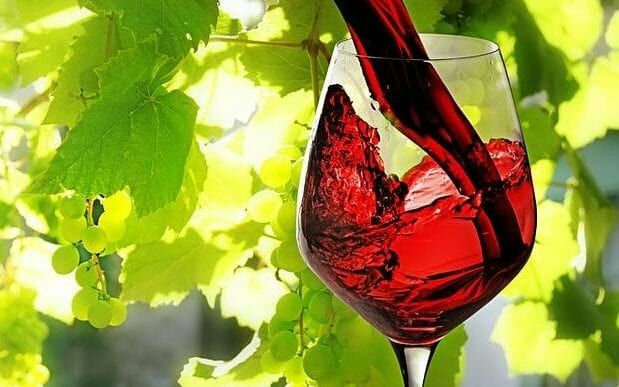 вино вину творит. винотека topwine воронеж. вино вину творит. виртуальное вино. вино вину творит.